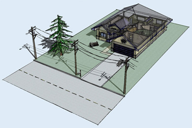Image of the week